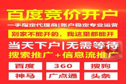 搜索引擎推广的佼佼者——百度搜索推广案例