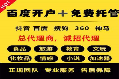 SEM竞价优化技巧分享：成功案例揭秘